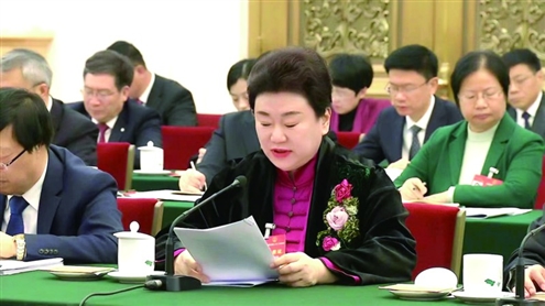 刘晓静建议,应该把与人工智能的融合作为教育破局和开新局的切入点 受访者供图